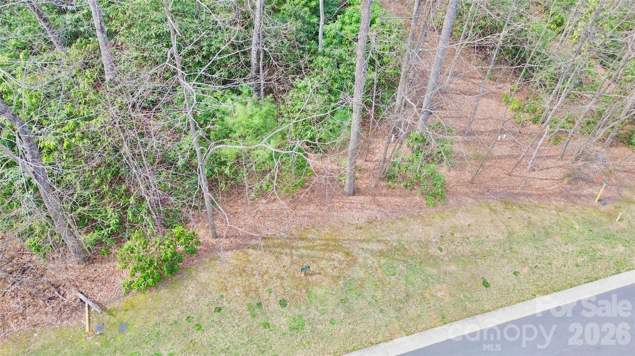 The Settings Of Black Mountain - Land