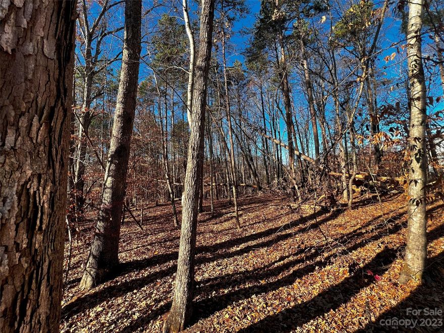 Incredible opportunity to build your DREAM home just minutes from downtown Davidson with low Iredell County taxes in brand-new custom home community, Copper Pine! Estate-sized, wooded homesite with quick access to fabulous boutiques, gourmet restaurants, Village Green Park, and more. A great location for your luxury custom home to be built by repeat "Best of the Lake" winners, AR Homes - Monterey Bay Construction Charlotte. Choose from a wide variety of fully customizable plans, including ranch and 2-story options, or partner with our experienced local team to design and build your one-of-a-kind AR Home, complete with high-end finishes throughout. Call to schedule your personalized design consultation today.