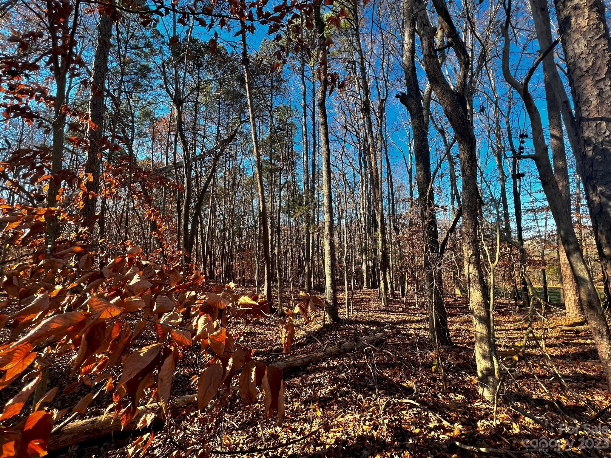 138 Copper Pine Lane 2