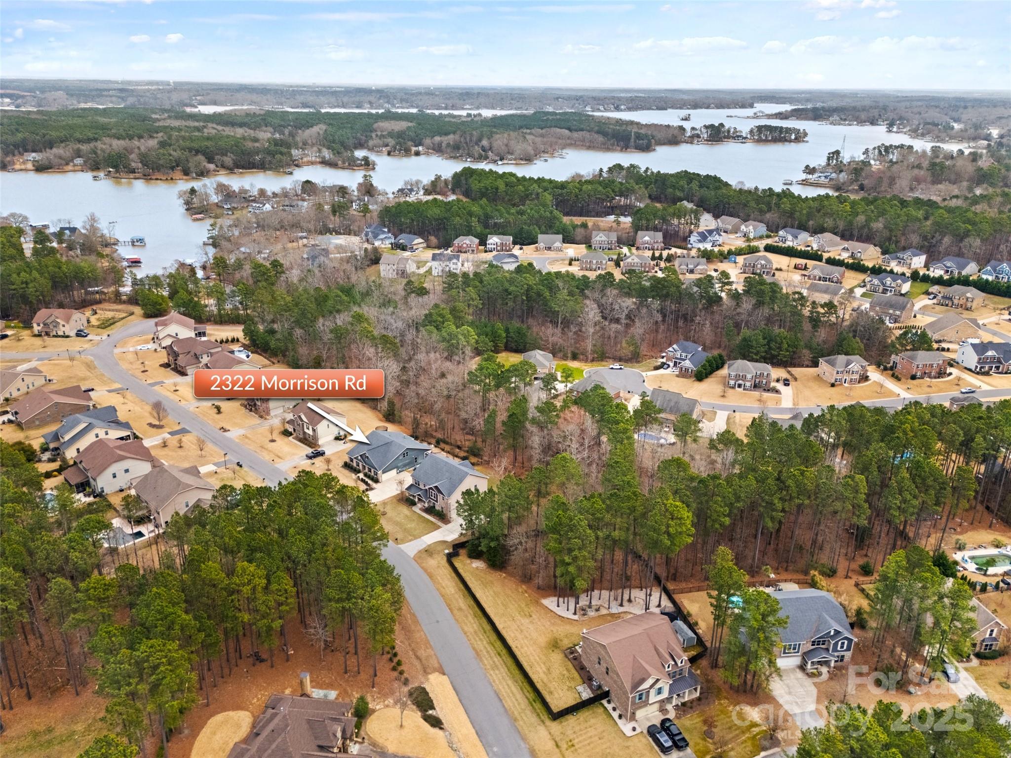 Palm Tree Cove II - Residential