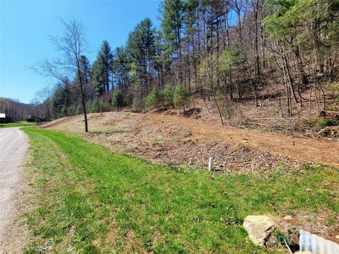 300 Shining Rock Drive 25 Canton NC 28716
