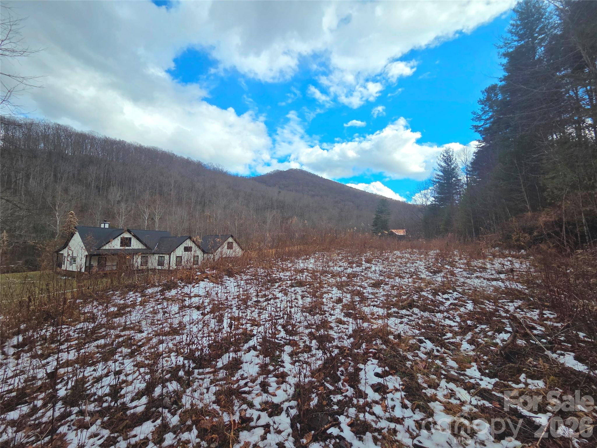 The River at Shining Rock - Land