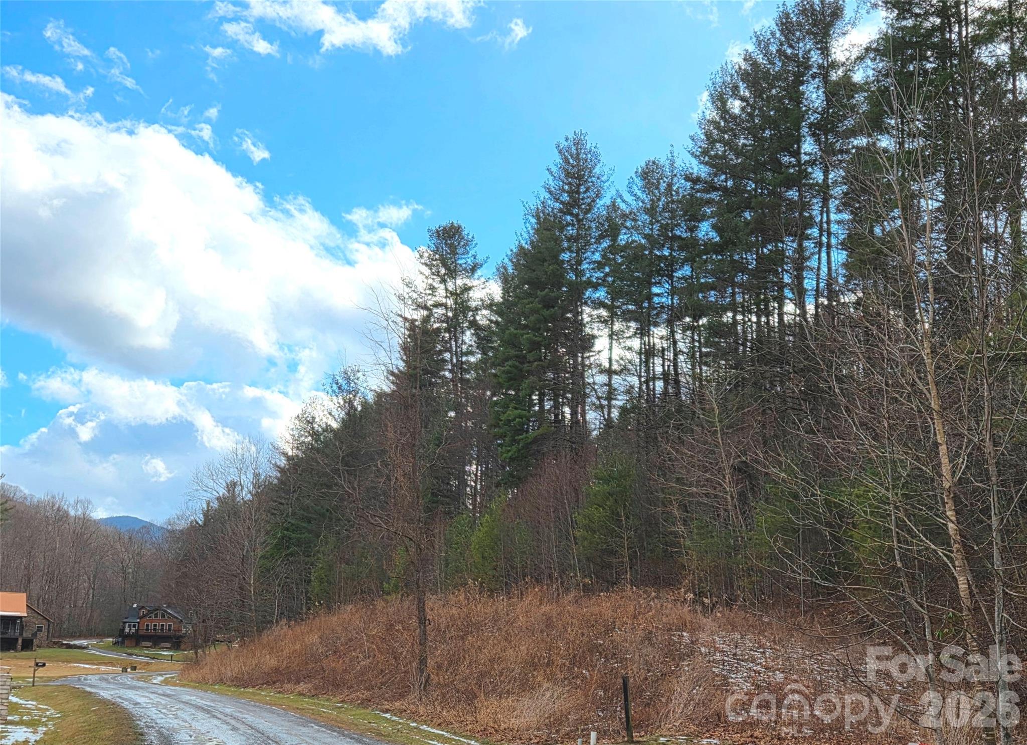 The River at Shining Rock - Land