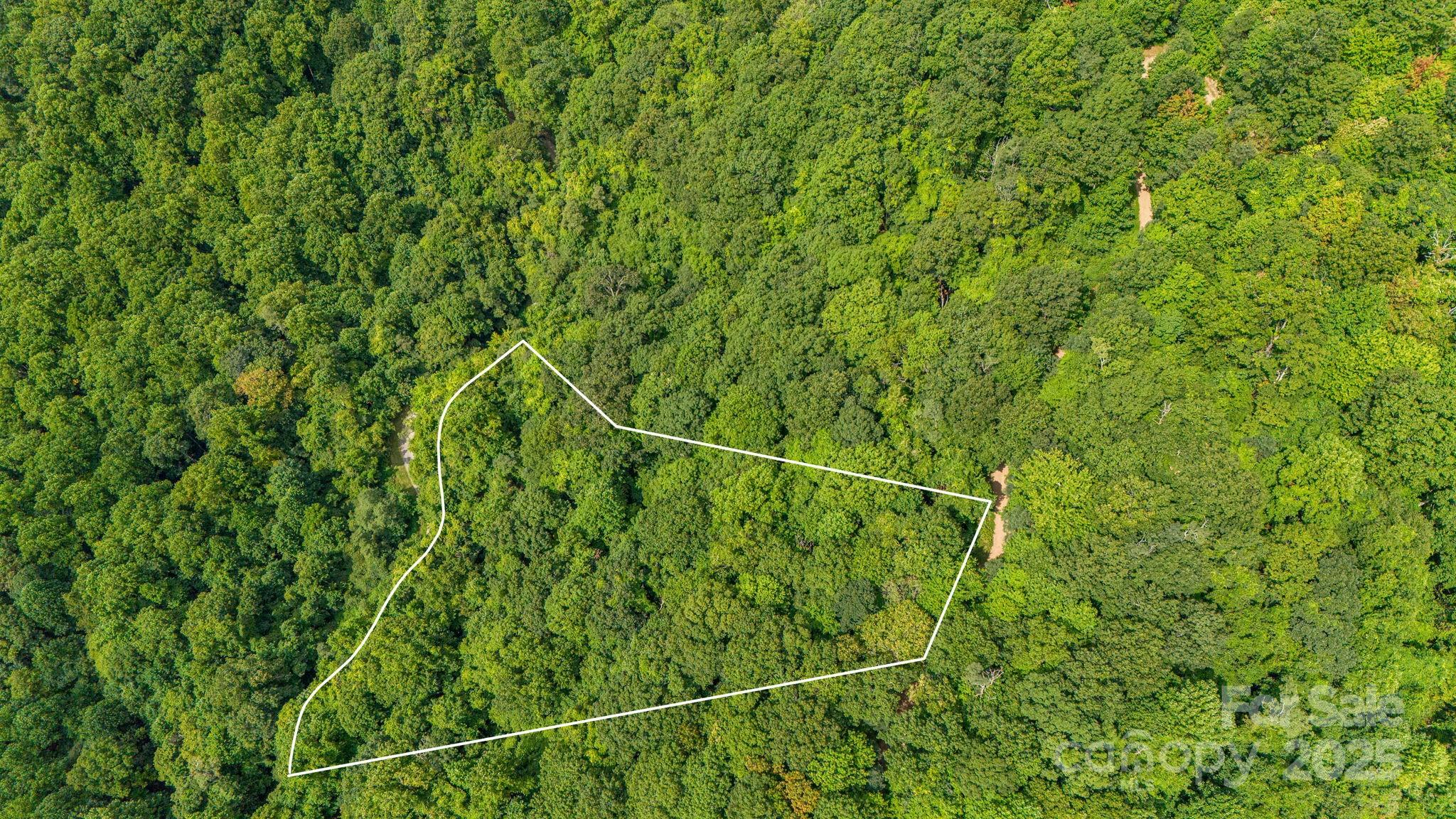 Lot 21 Cat Pen Branch Road