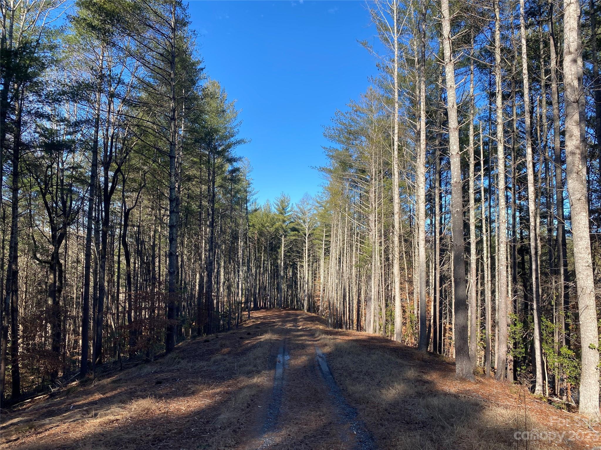 Dry Creek - Land