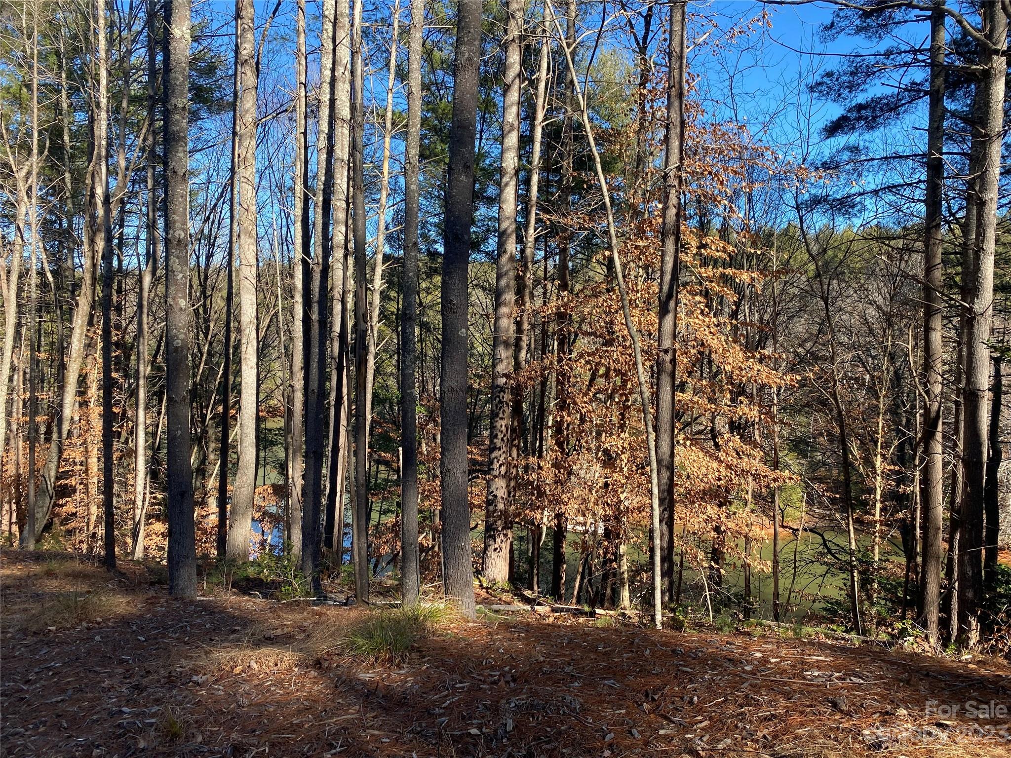 Dry Creek - Land