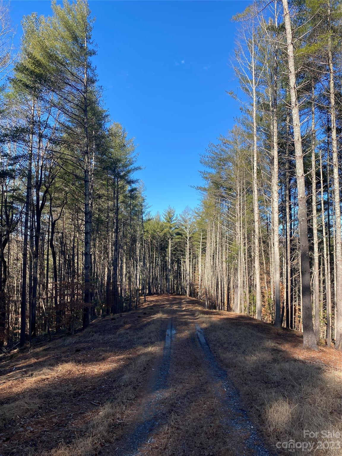 Dry Creek - Land