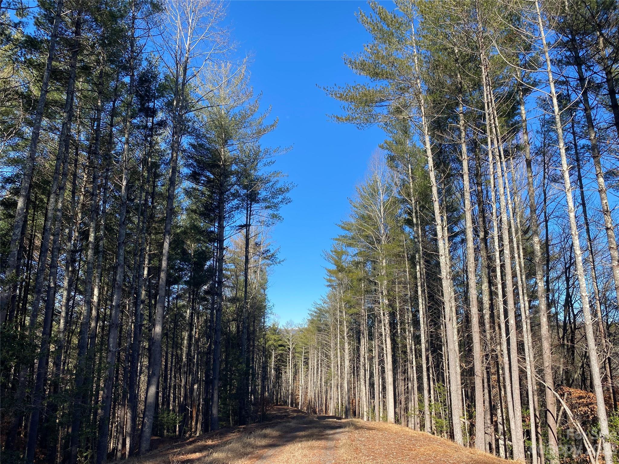 Dry Creek - Land