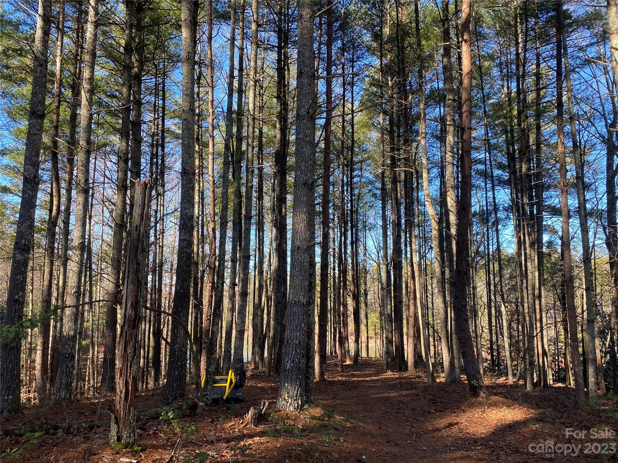 Dry Creek - Land