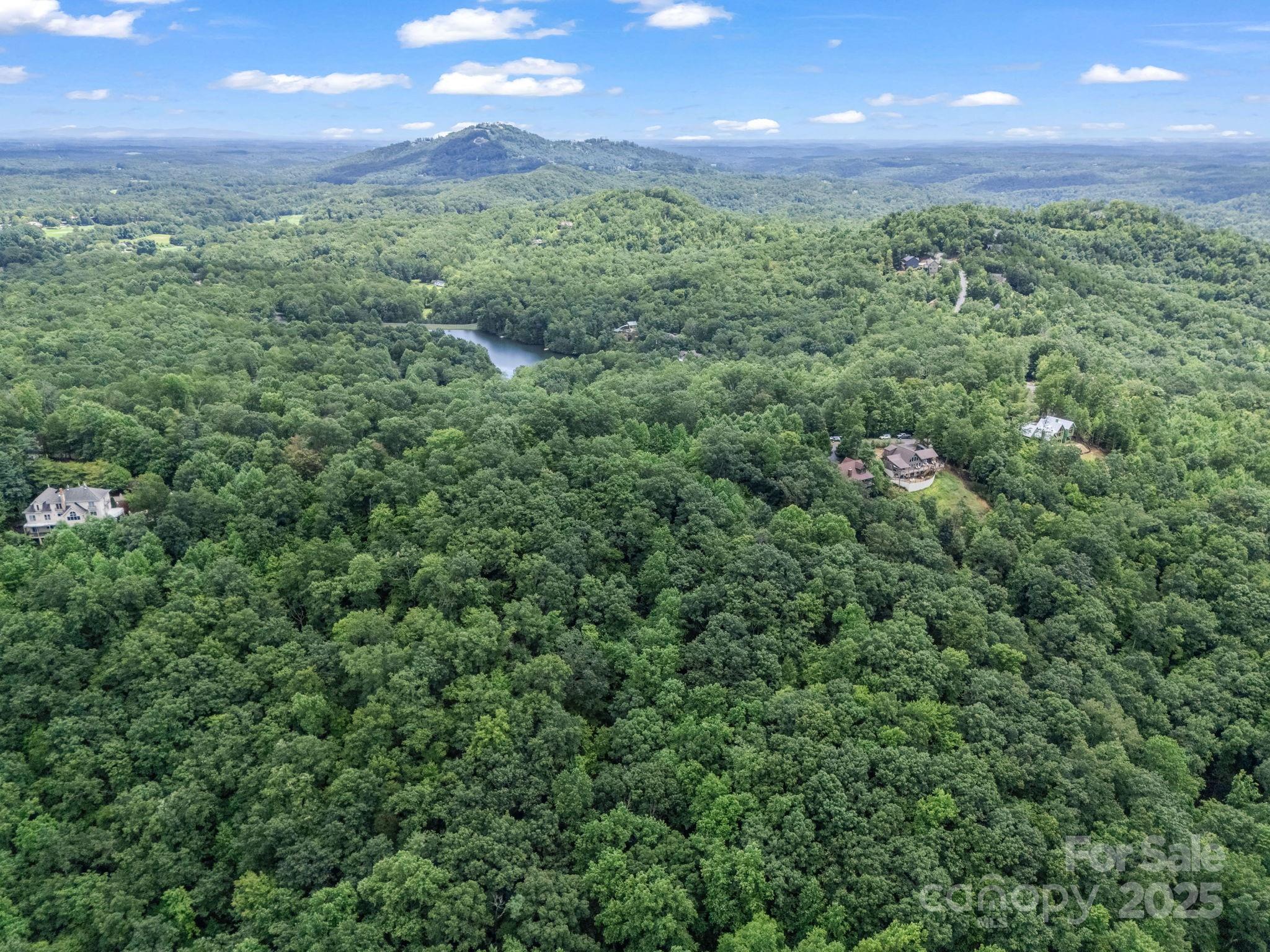 Rumbling Bald on Lake Lure - Land