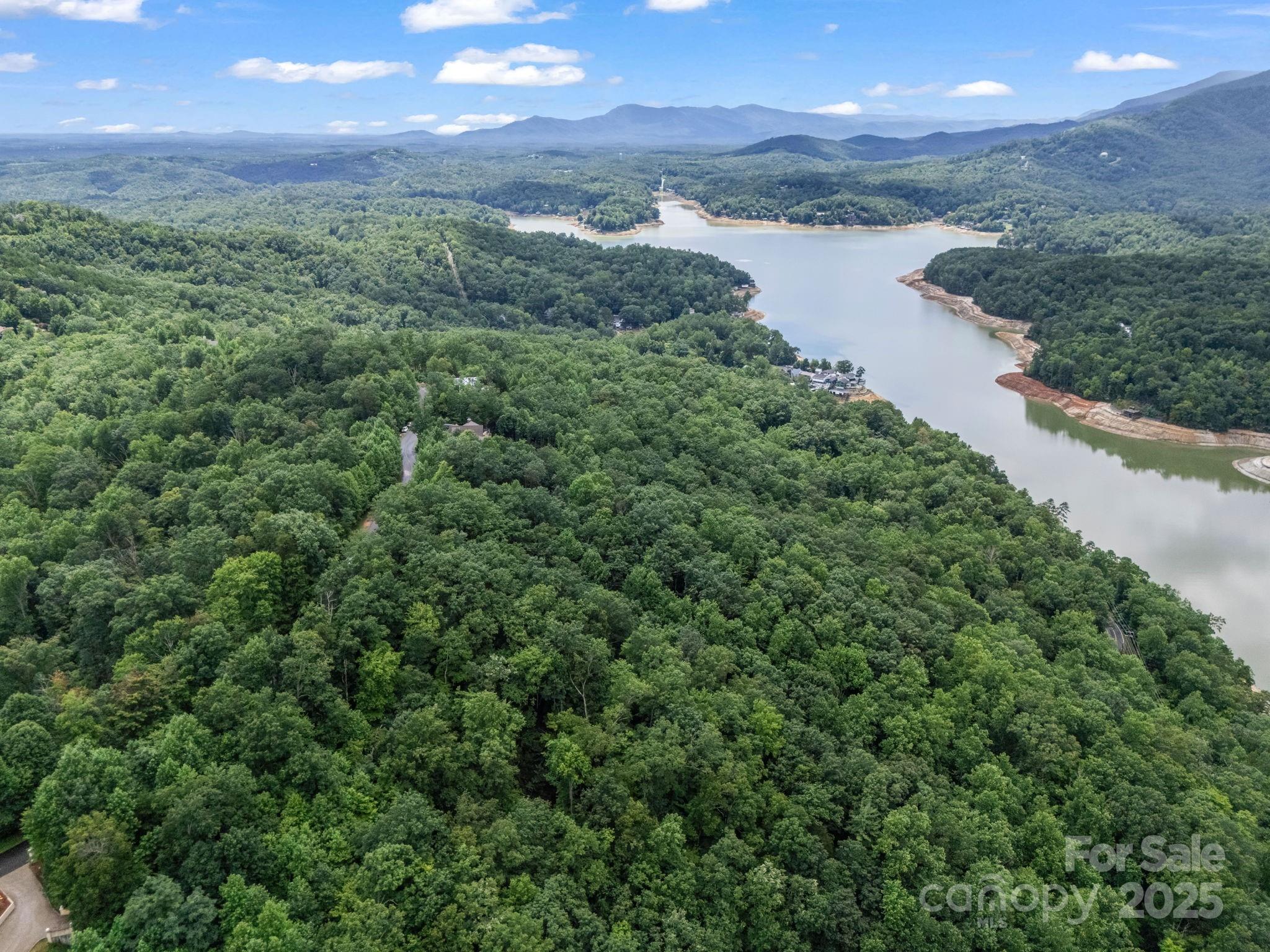 Rumbling Bald on Lake Lure - Land