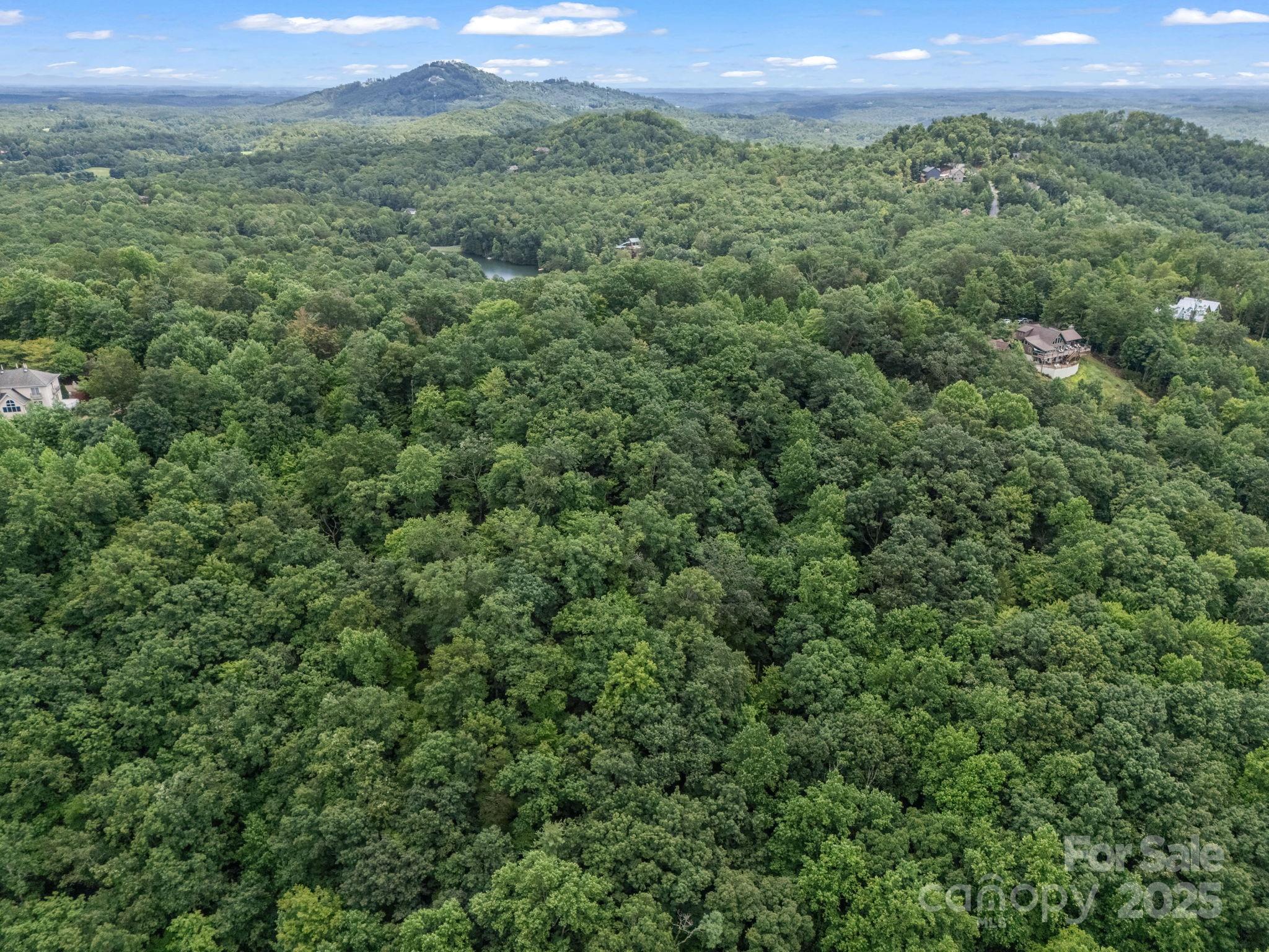 Rumbling Bald on Lake Lure - Land
