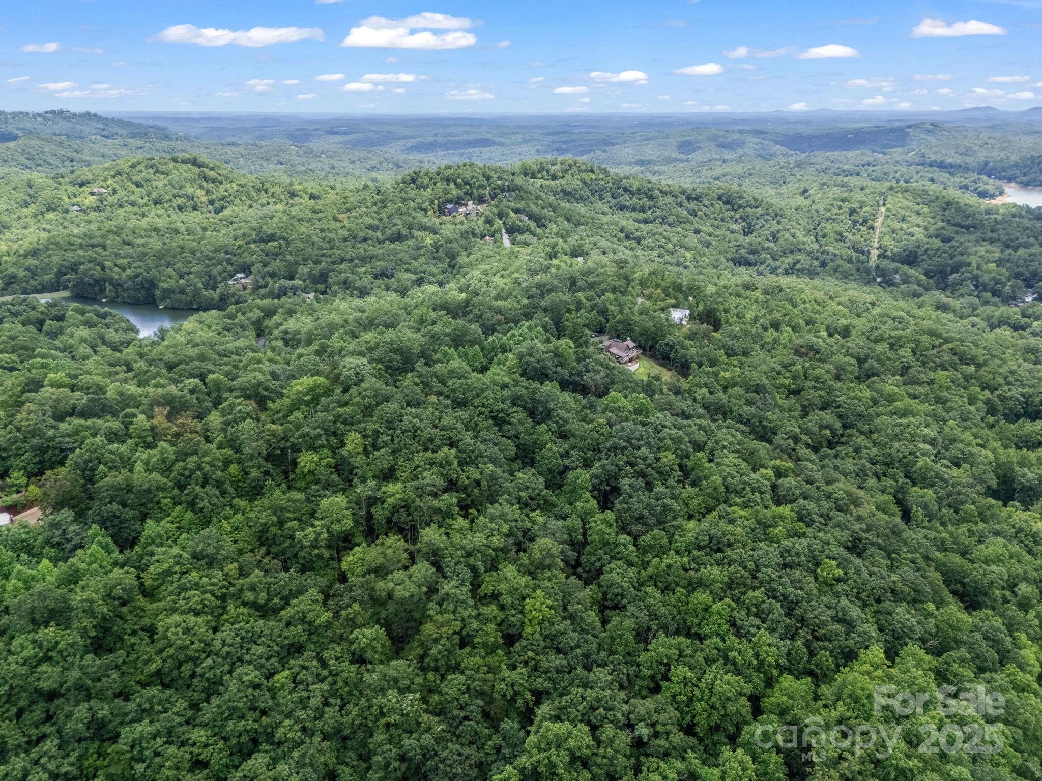 Rumbling Bald on Lake Lure - Land