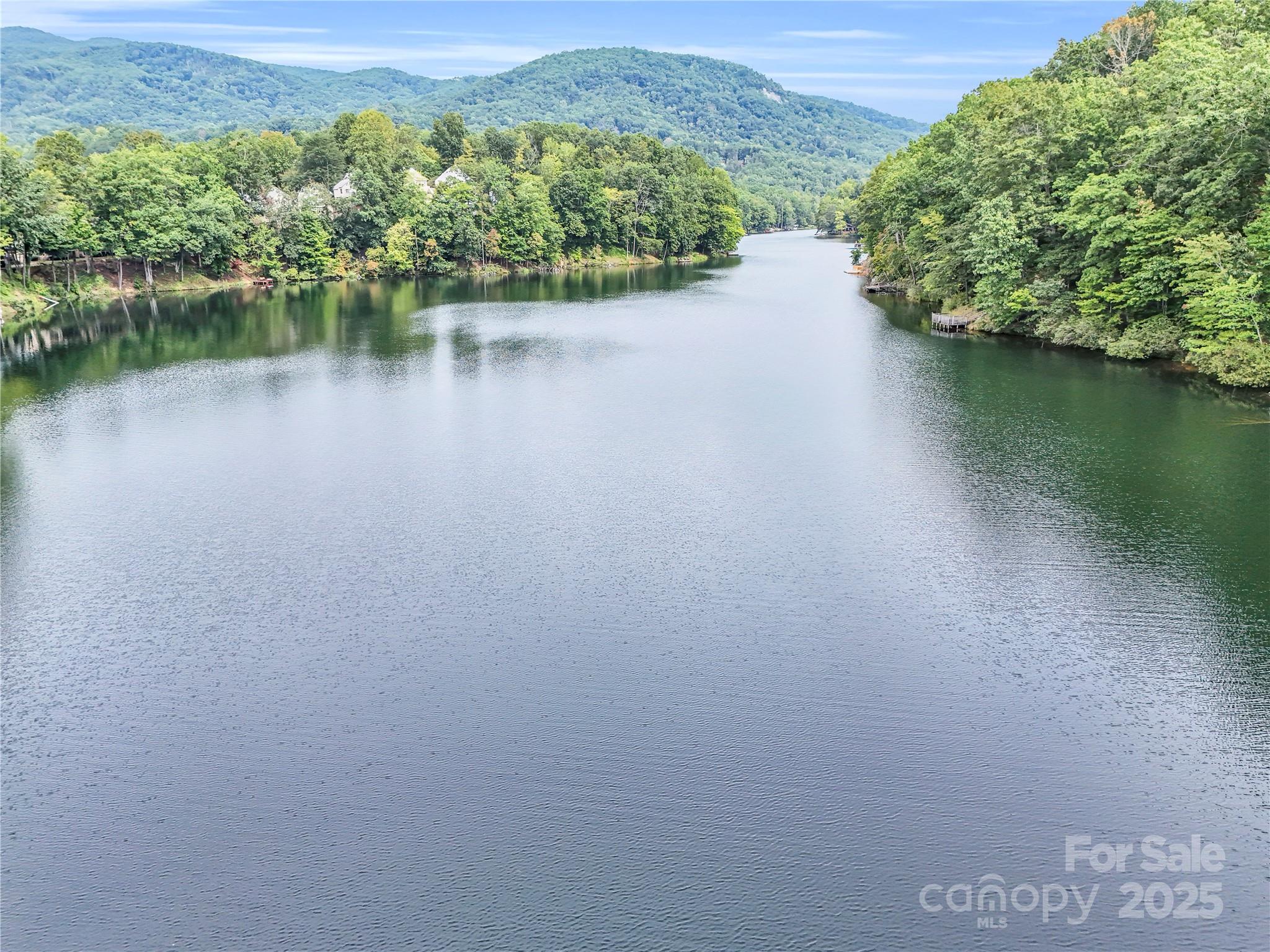 Rumbling Bald on Lake Lure - Land