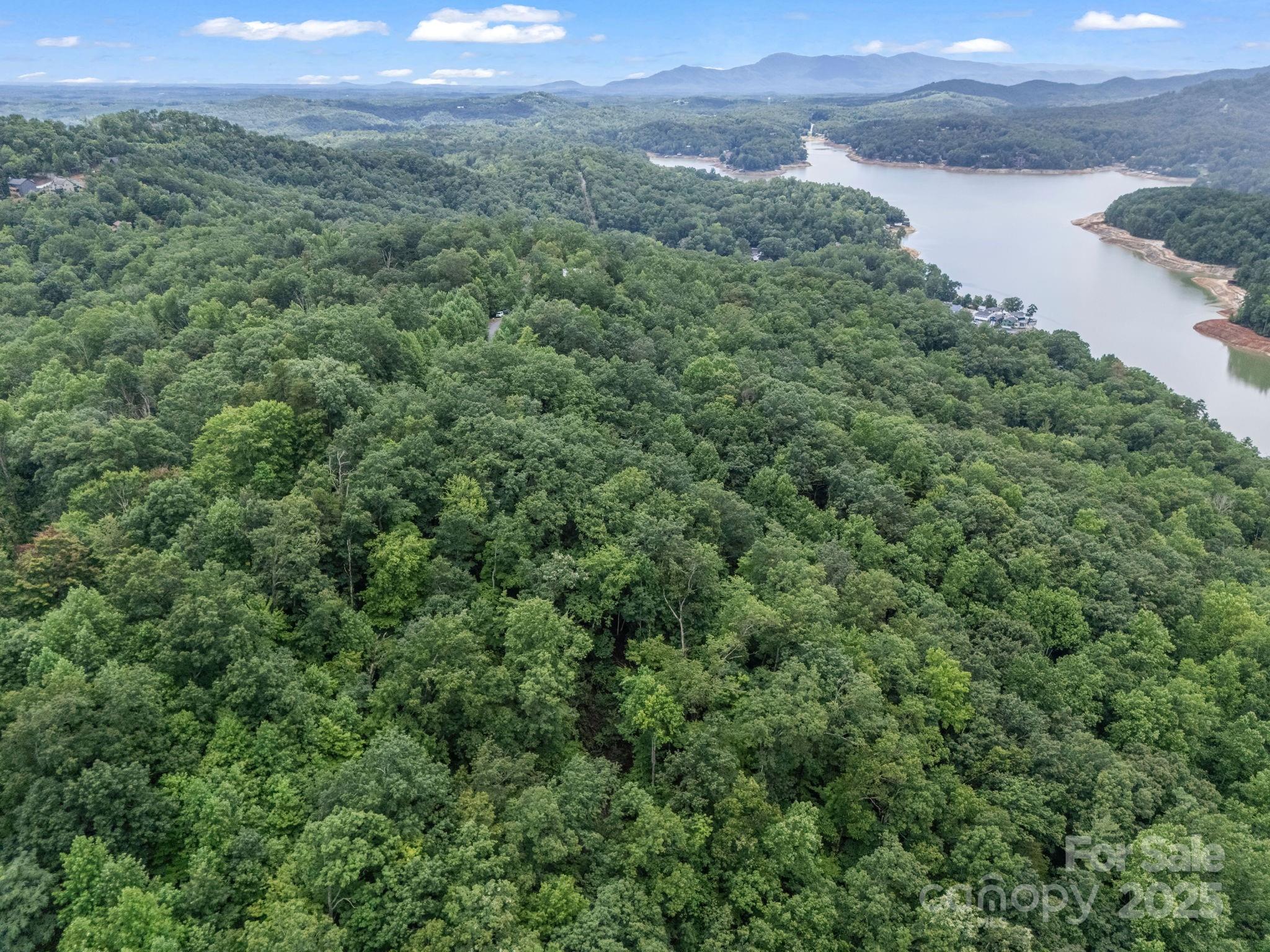 Rumbling Bald on Lake Lure - Land