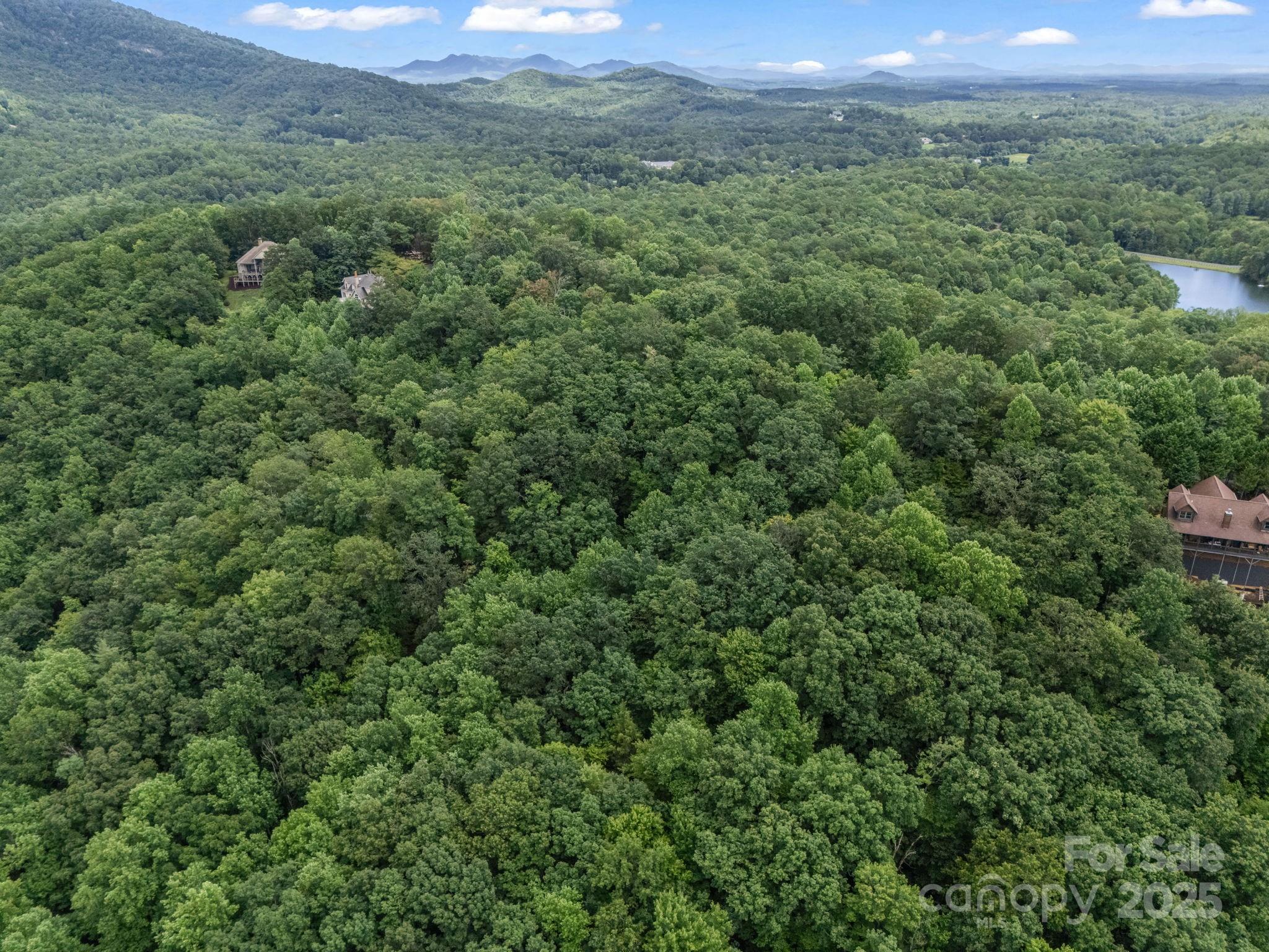 Rumbling Bald on Lake Lure - Land