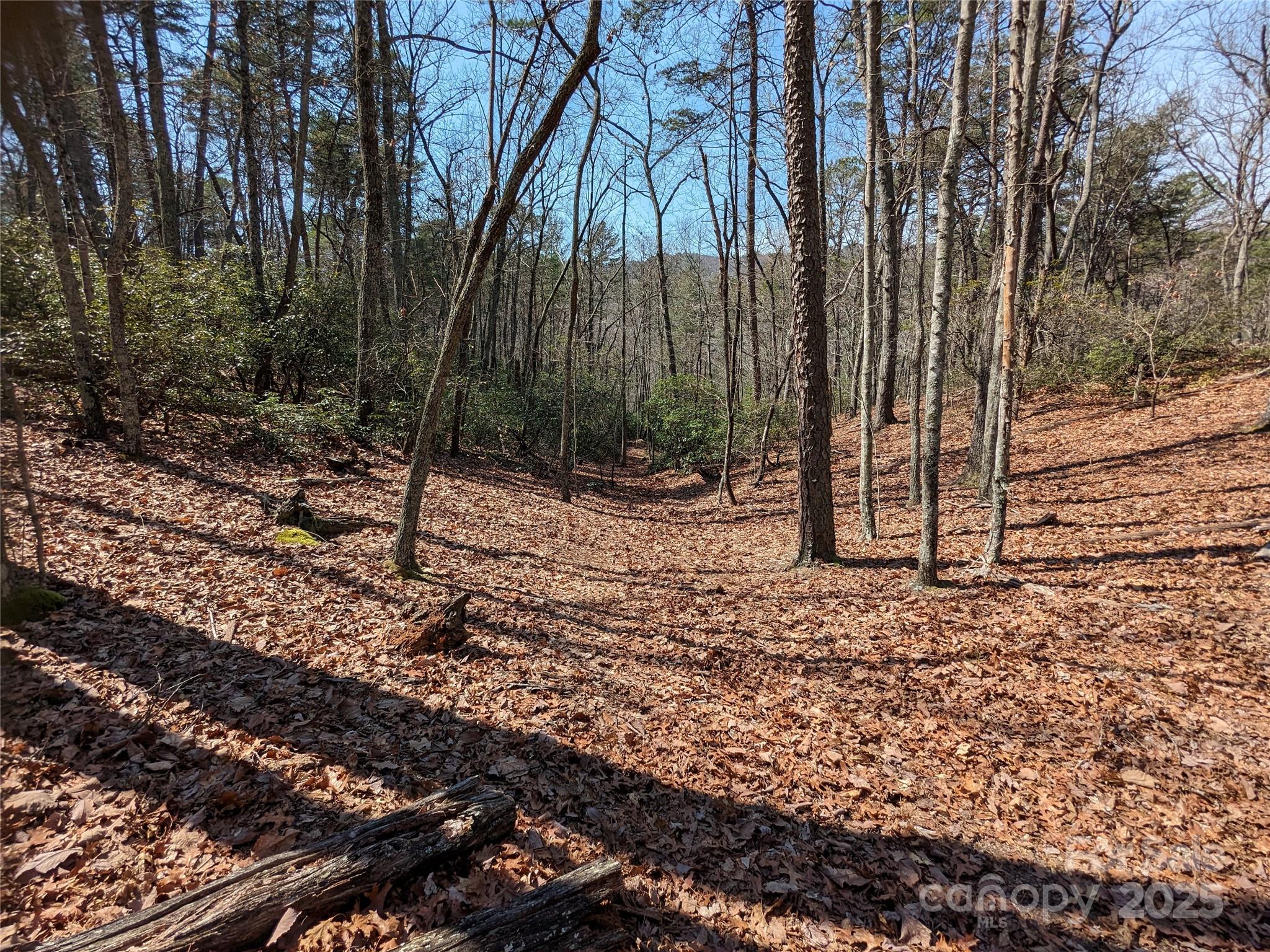 Pine Mountain Lakes - Land