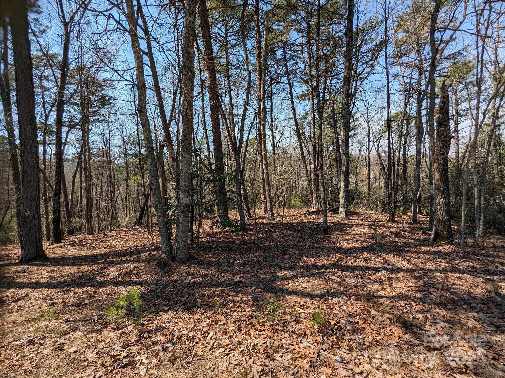 Pine Mountain Lakes - Land