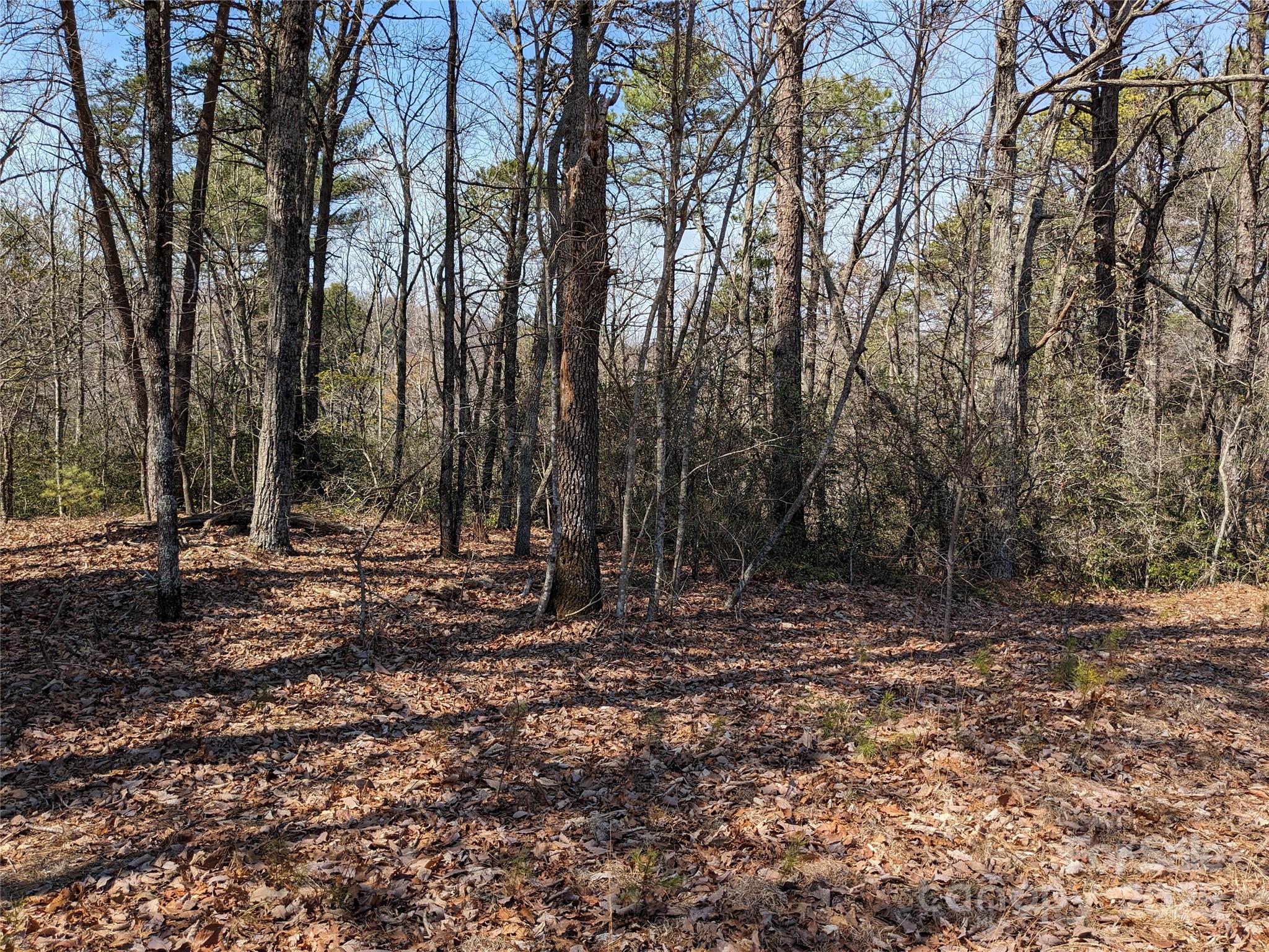 8636 Sleepy Hollow Road 12