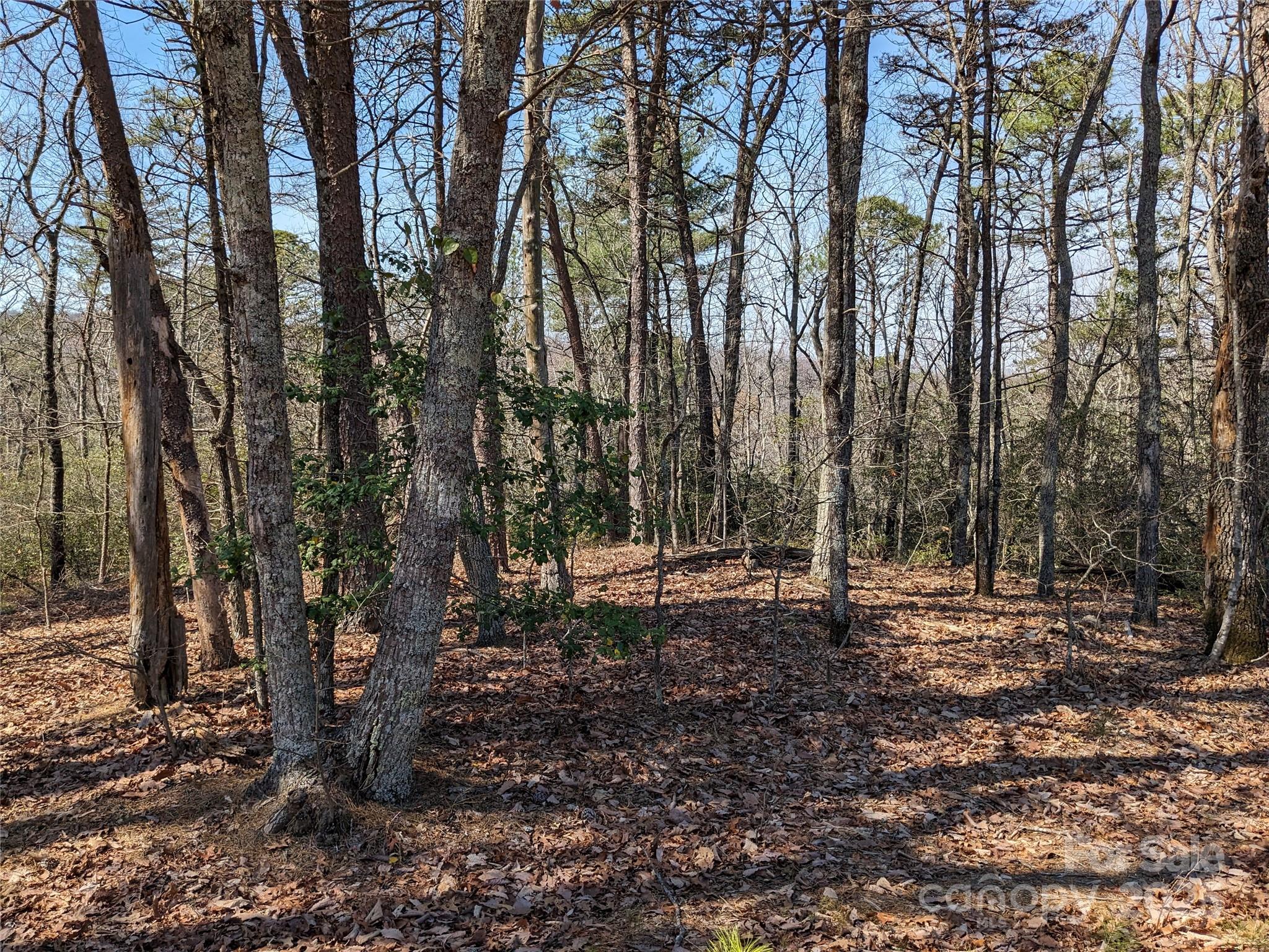 8636 Sleepy Hollow Road 12