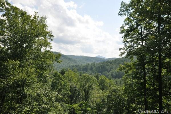 Pine Forest - Residential