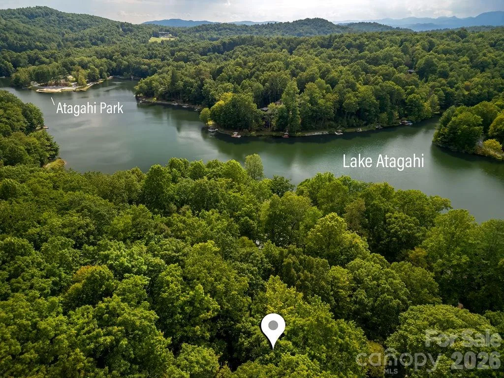 TBD Usdasdi Drive, Brevard, NC, 28712