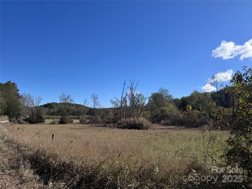 Beautiful, flat pastureland nestled along the scenic Green River. This fertile property features three fenced pastures with automatic watering system and gated access between each, ideal for grazing. Previously used for cattle, the rich soil is well-suited for continued agricultural purposes. Enjoy a mix of paved and gravel road frontage for flexible access. Building site is near the intersection of Abrams Moore and Manus Chapel. Located just minutes from Hwy 74, Pea Ridge Road, and the renowned Tryon International Equestrian Center, this property offers both tranquility and convenience. Please note: the majority of the land lies within the 100-year floodplain, with less than one acre outside of it.