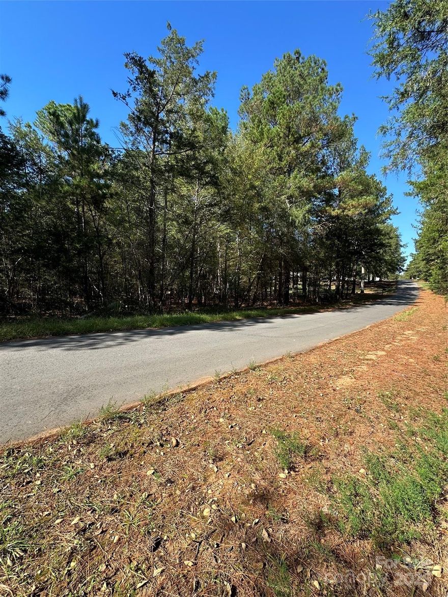 Bring your vision to life on this beautiful (+/-)0.501-acre lot located on Lanksford Drive in Fort Lawn, SC. Tucked away in a quiet setting, this property offers the perfect balance of peaceful living and convenient access to nearby amenities, schools, and major highways. This spacious lot provides endless possibilities and plenty of space to make it your own.