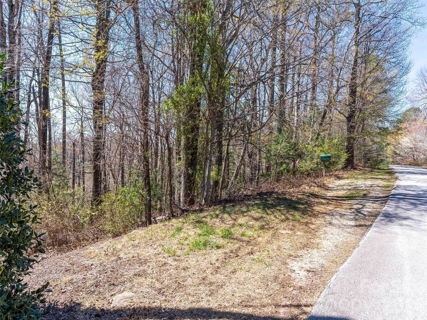 Create your own mountain home less than ten minutes from downtown Saluda. Bring your plans and builder to make it happen! Echo Glen is a delightful development of year around and vacation homes. This lot has one of the community well permits in place. Plenty of room for a large septic system. Short drive to find your perfect spot to make future memories!