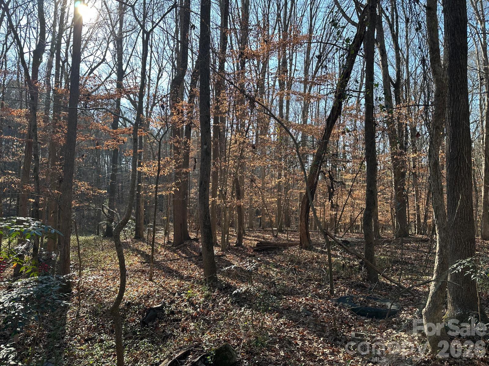 1415 Trinity Church Road