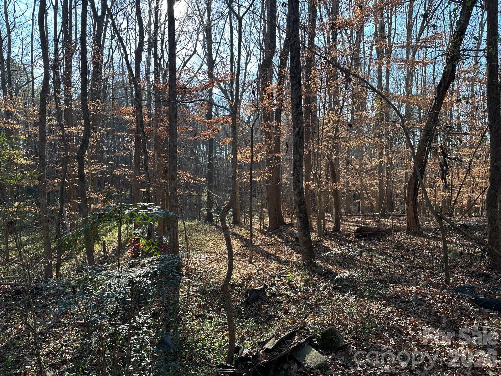 1415 Trinity Church Road