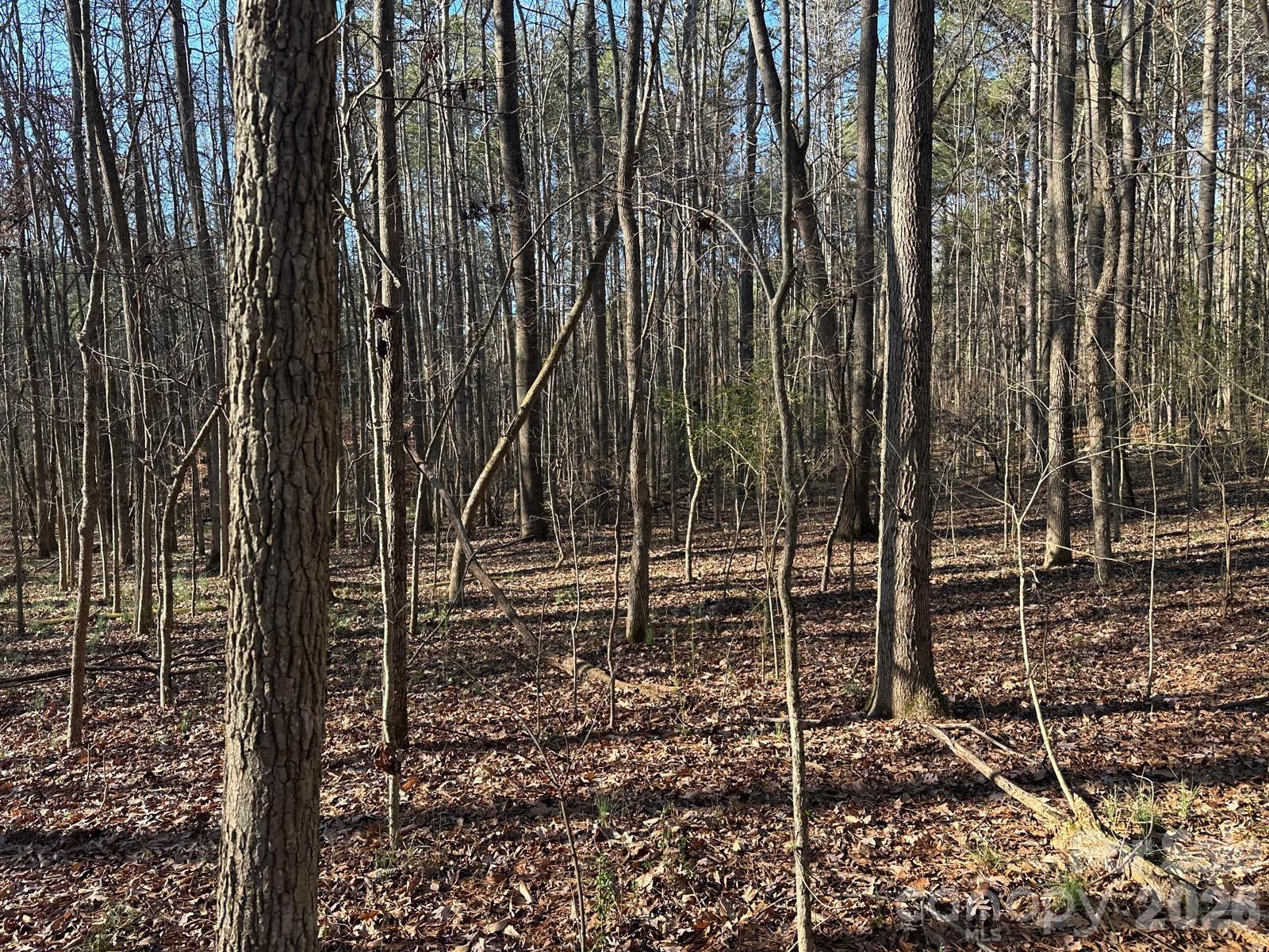 1415 Trinity Church Road