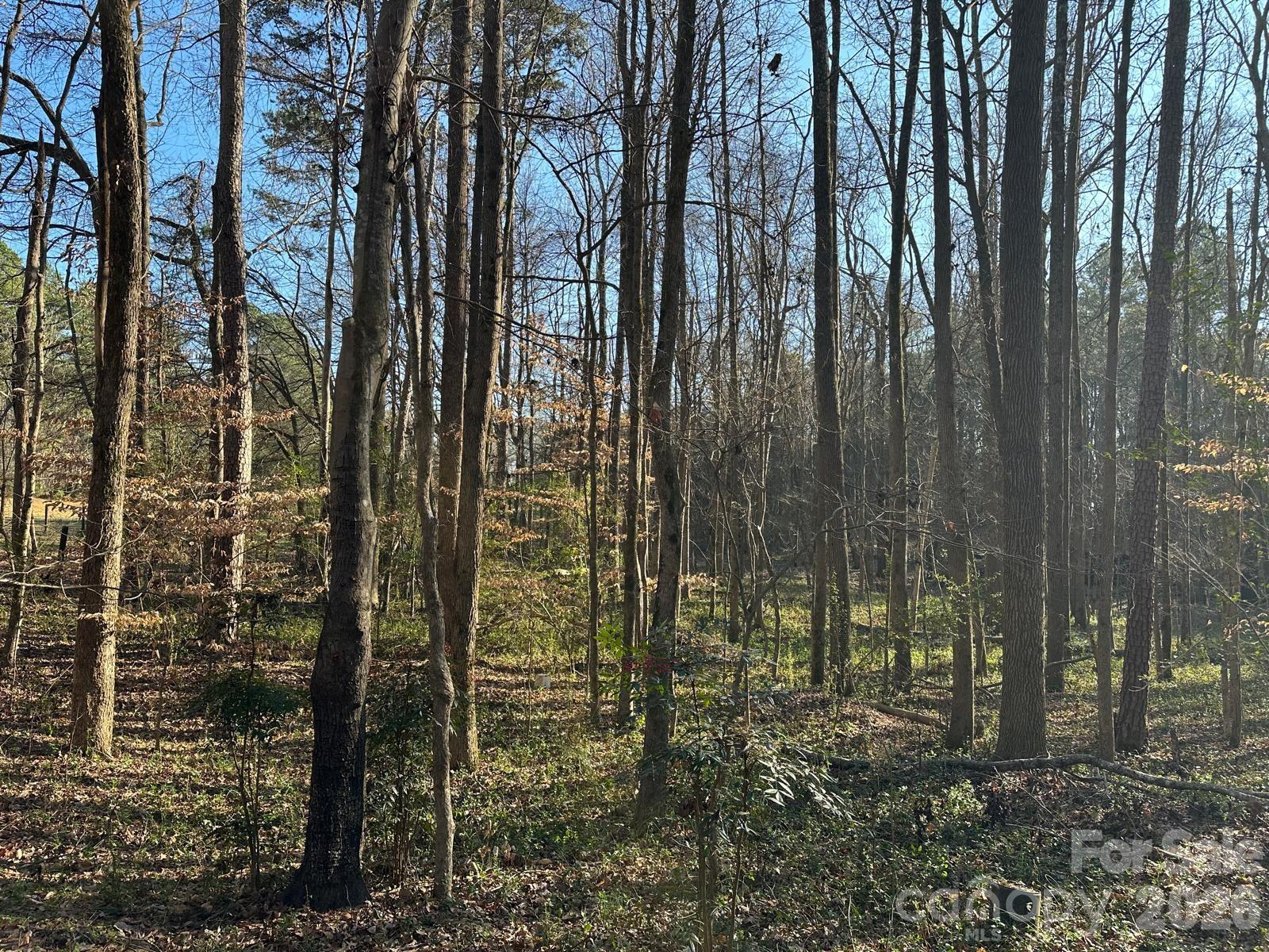 1415 Trinity Church Road