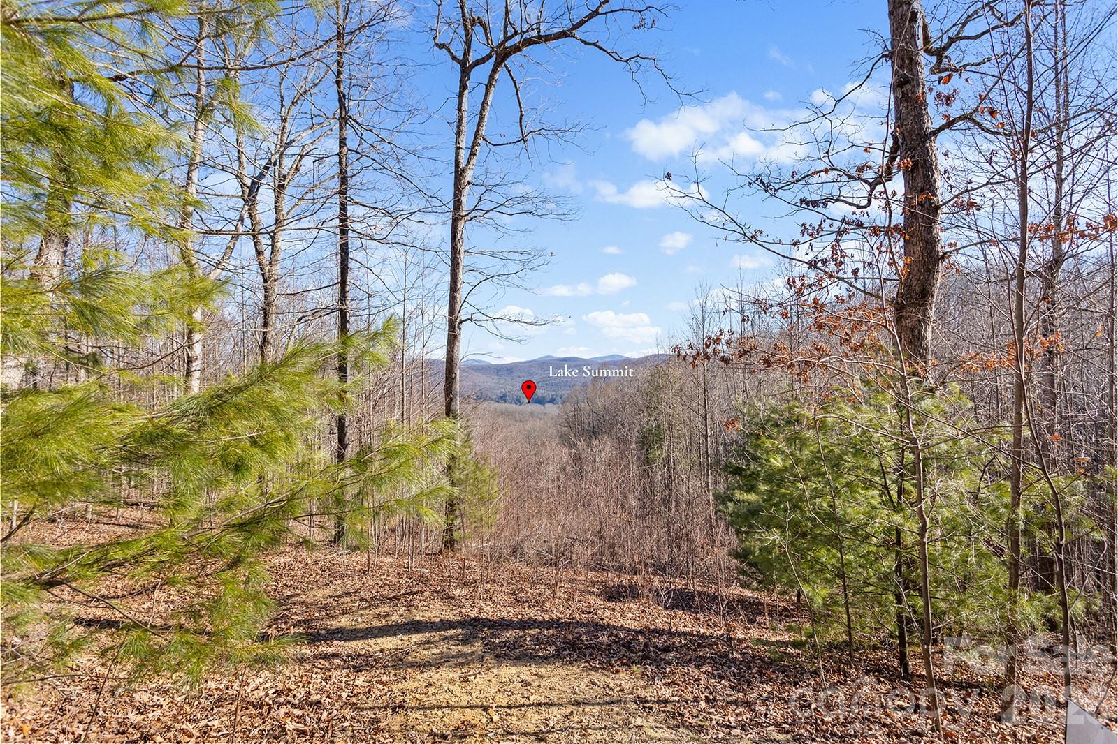 0000 Pinnacle Mountain Road Lots 1,2,3,4