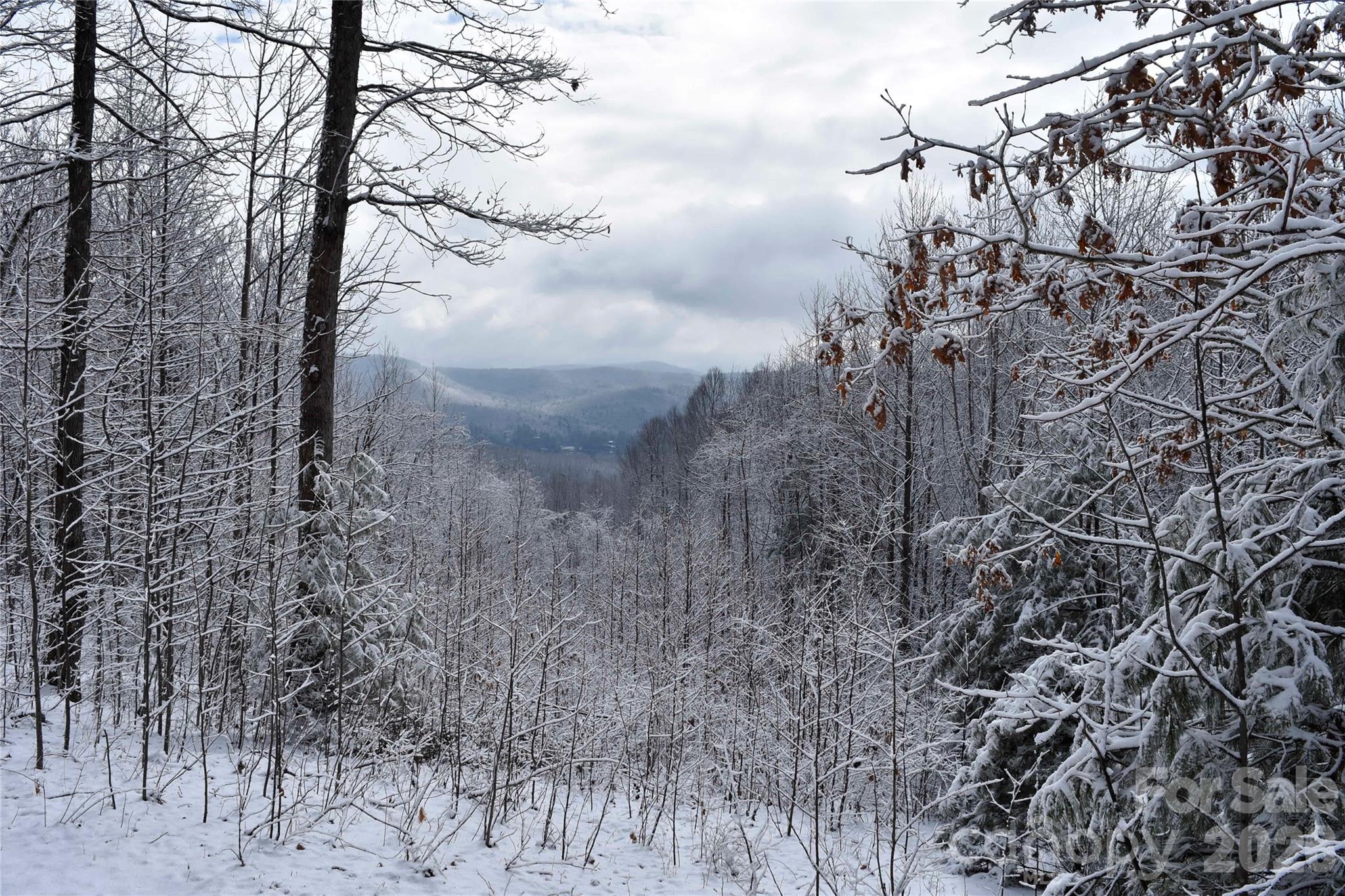 0000 Pinnacle Mountain Road Lots 1,2,3,4