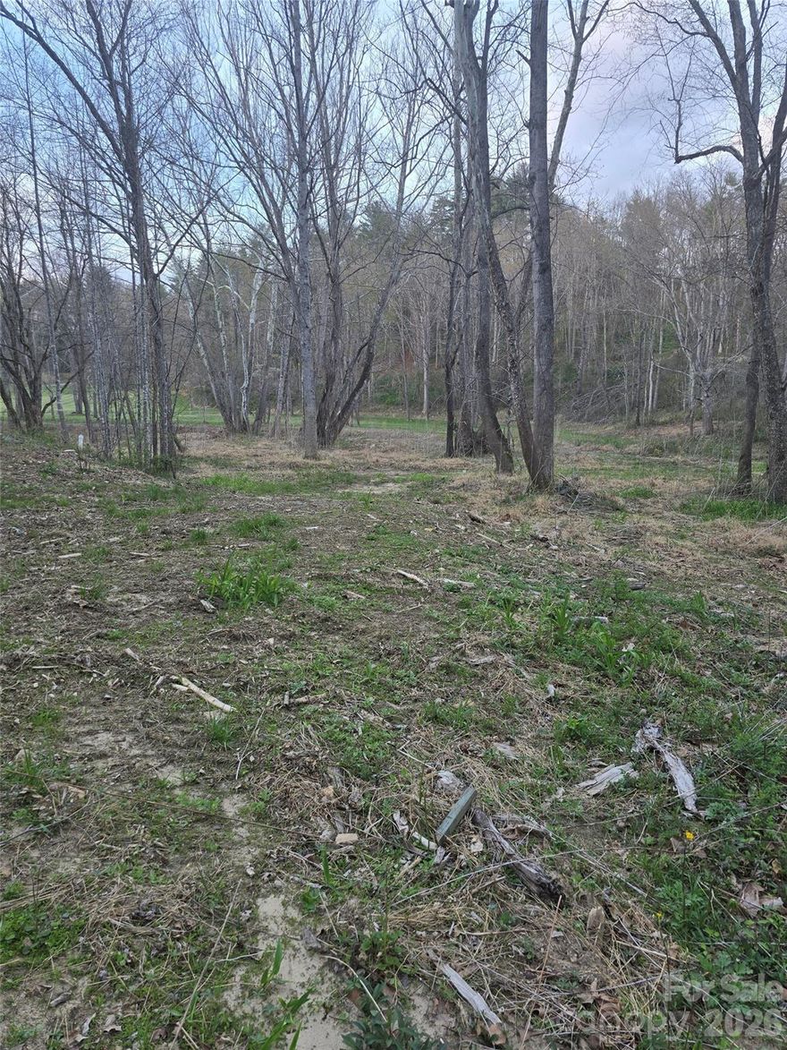 Rare opportunity to own a private mountain parcel in Fairview, NC, with strong potential for stilt/elevated home construction, recreational use, or STR investment. This property is Open Use, offering flexibility and a more secluded natural setting while still being convenient to Asheville and surrounding amenities. Ideal for buyers looking to build a unique mountain getaway, create an income-producing STR, or invest in the continued growth of the Fairview area. The terrain lends itself well to elevated construction designed to take advantage of the natural landscape and potential seasonal views. Excellent opportunity for investors, builders, or visionaries.
