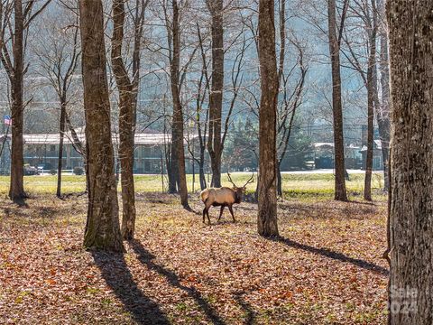 A home in Maggie Valley