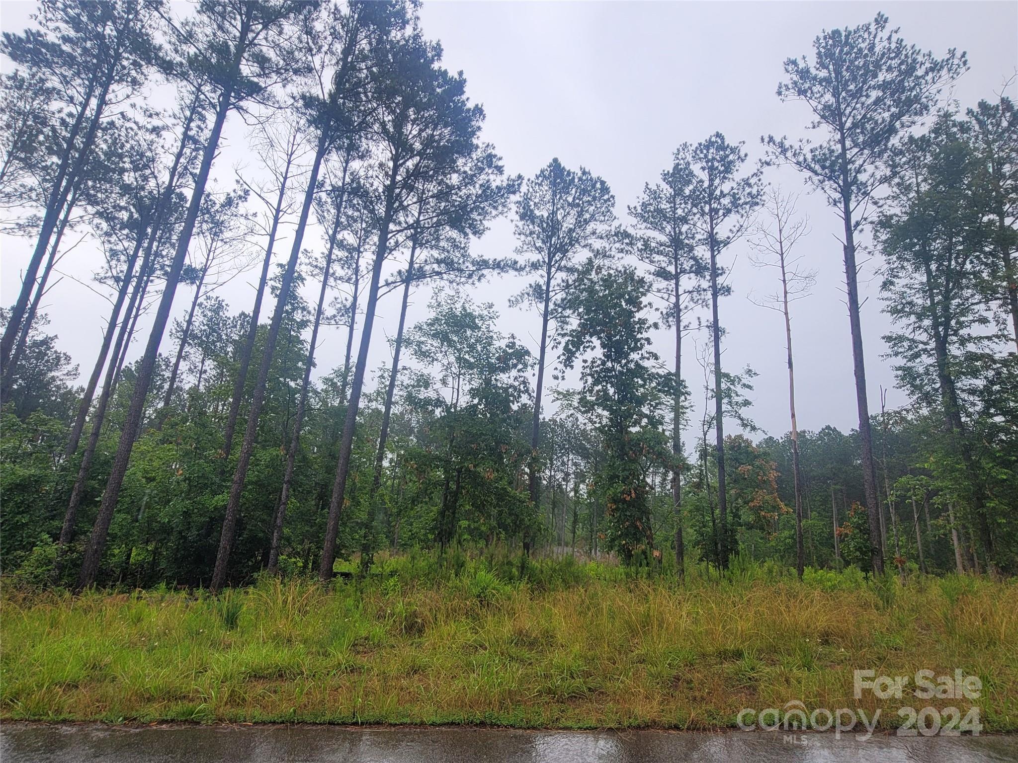 Riverchase Estates - Land