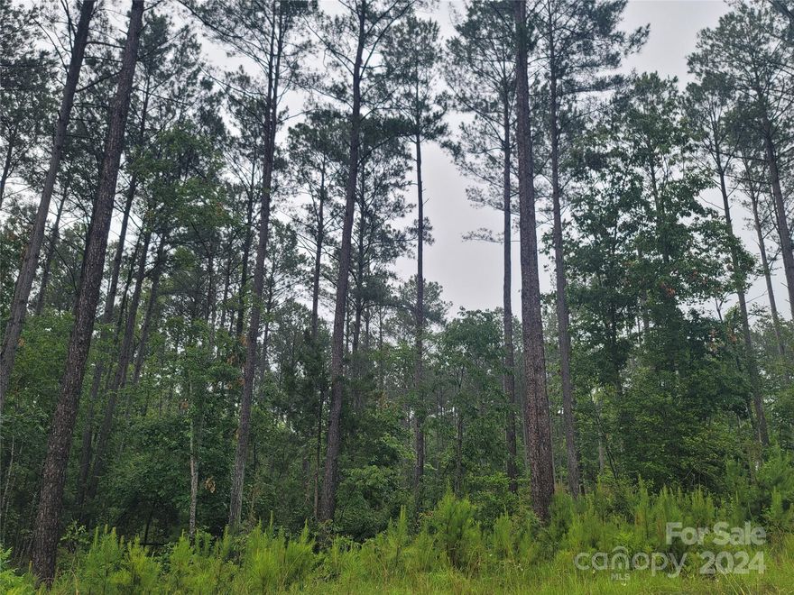 2.61-acre of prime homesite ready for you to build your custom dream home! Located in the upscale, serene community of Riverchase Estates, this beautiful lot has incredible views and is a very rare opportunity. Beautiful mature trees, a great location and a short distance from the clubhouse make this the ideal location for you! The resort-like, one-of-a-kind community features a freeform pool, $4.6 million clubhouse, playground, tennis courts, fitness center, and amphitheater. Low taxes, easy access to I-77, no timeline to build and the ability to bring your own builder are just a sample of the perks at Riverchase Estates. Trees have been cut for building your home!