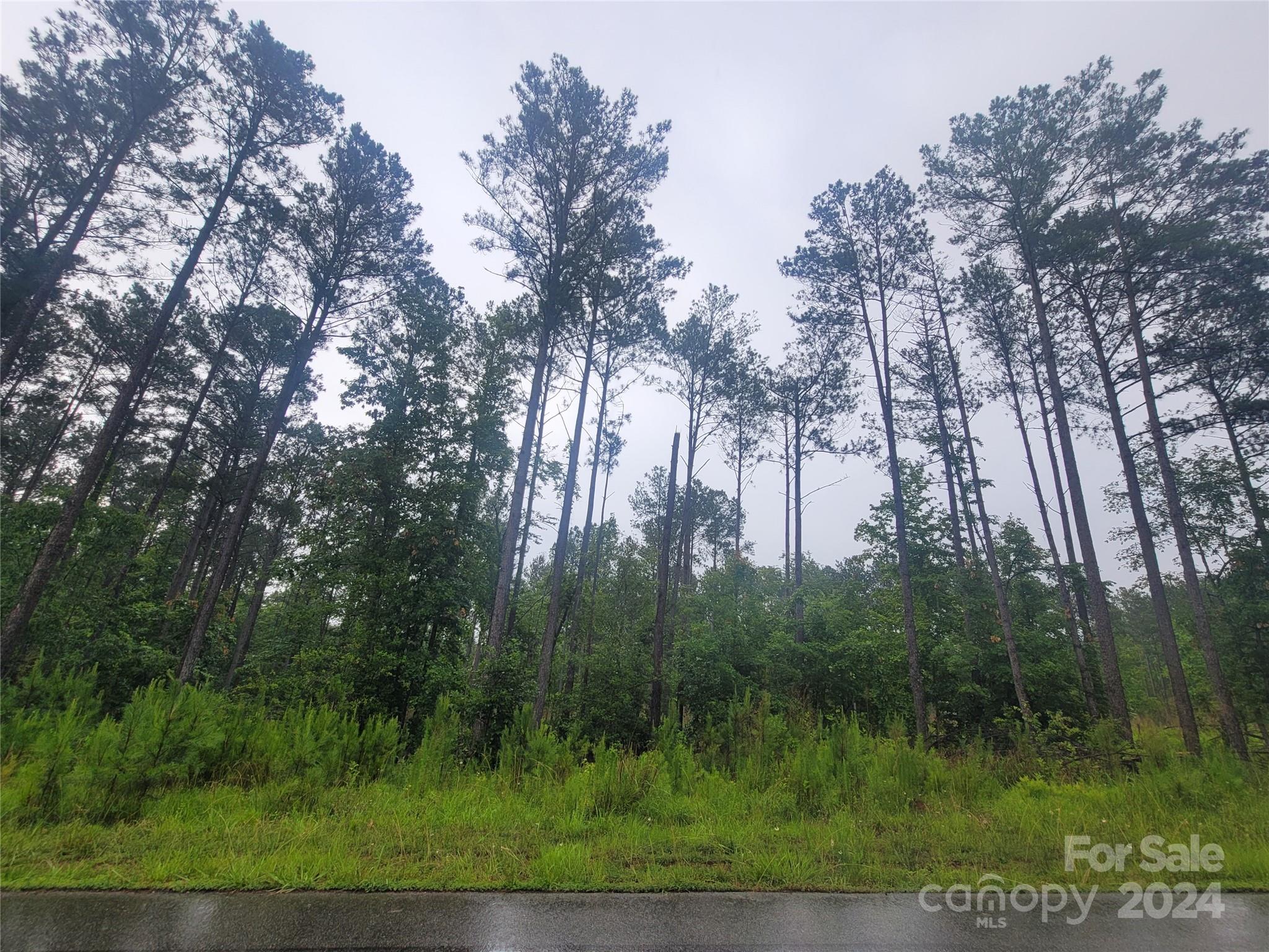 Riverchase Estates - Land