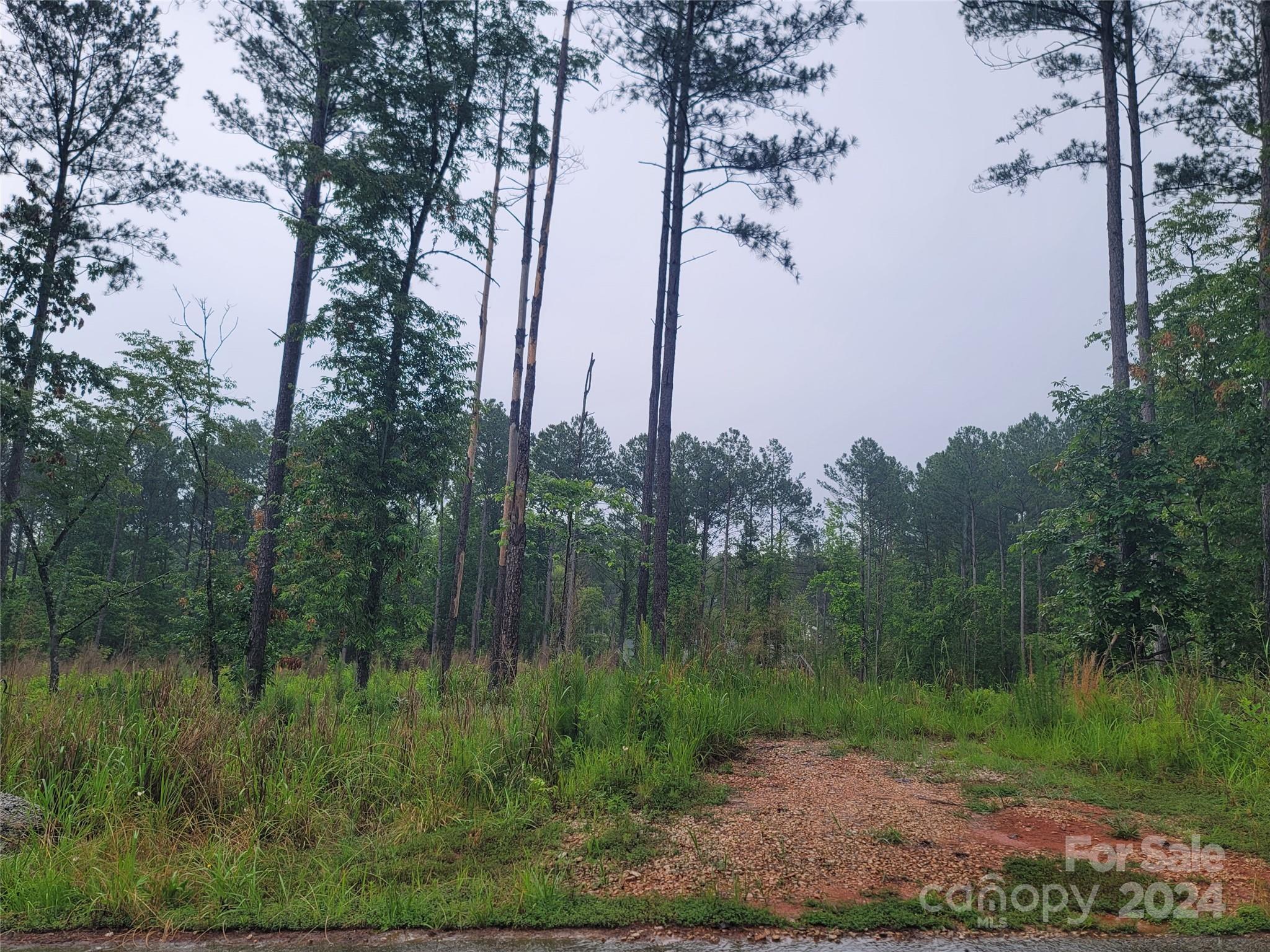 Riverchase Estates - Land