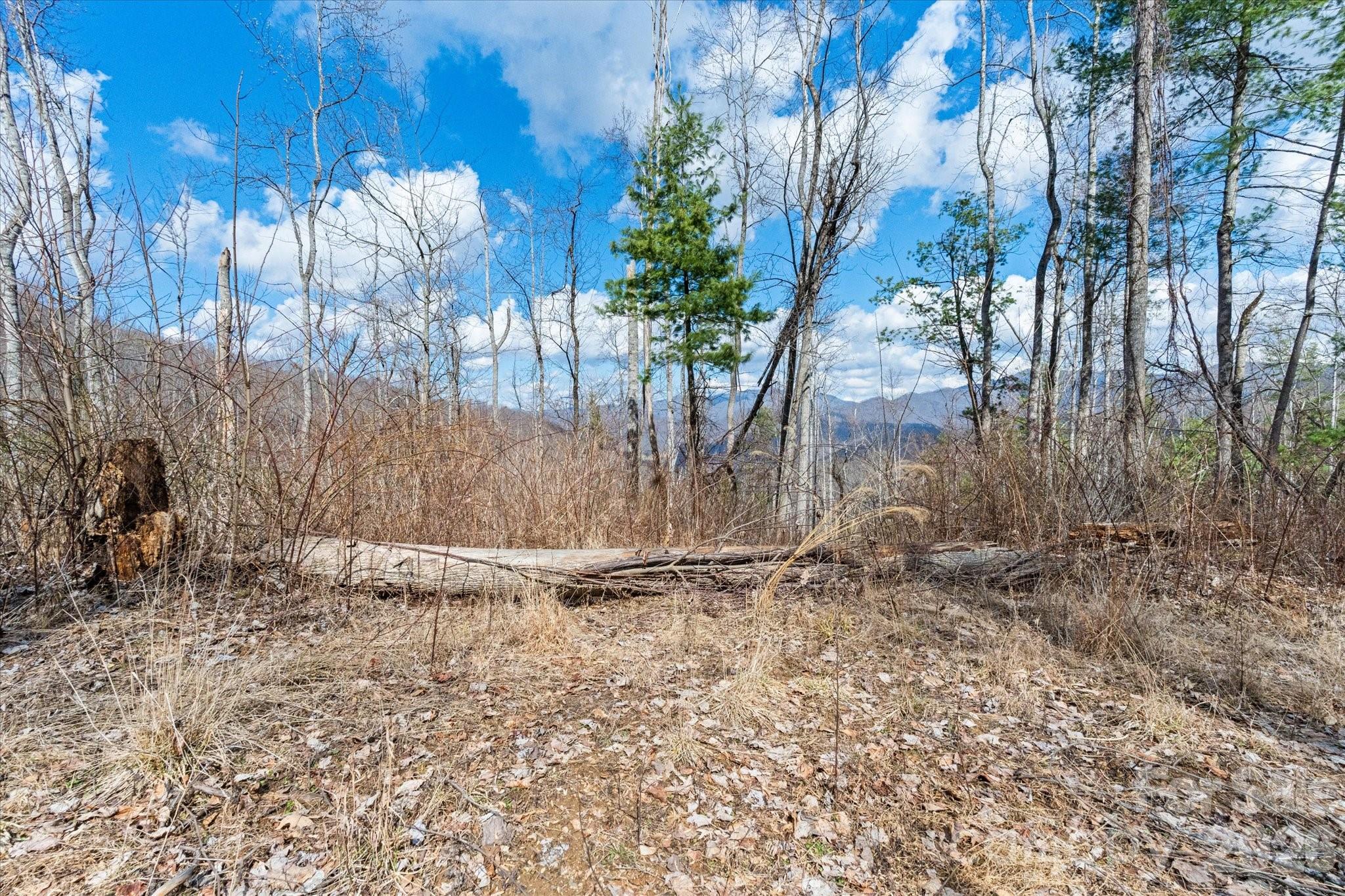 140 Wild Mountain Lane