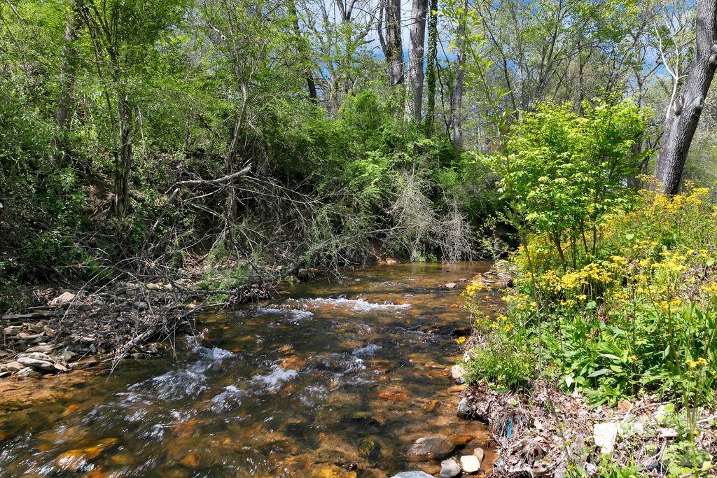 Deer Track - Residential
