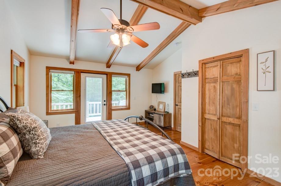 Big Tree - Residential