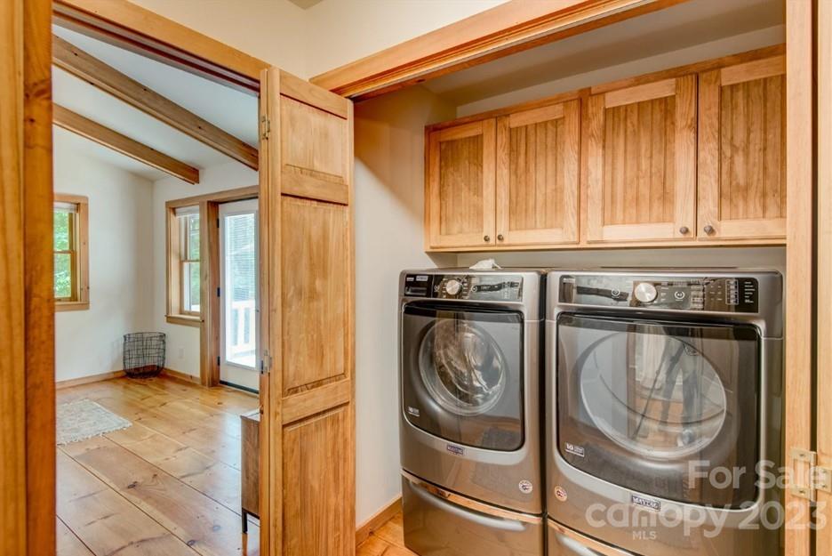 Big Tree - Residential