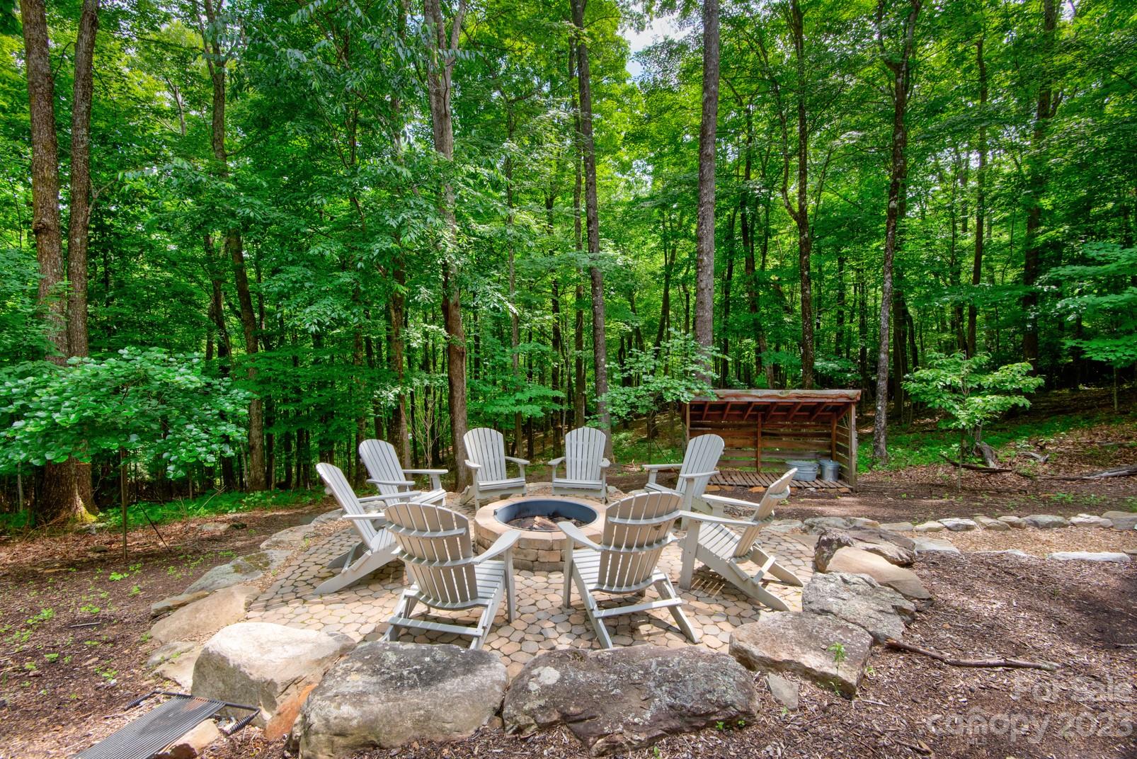 Big Tree - Residential