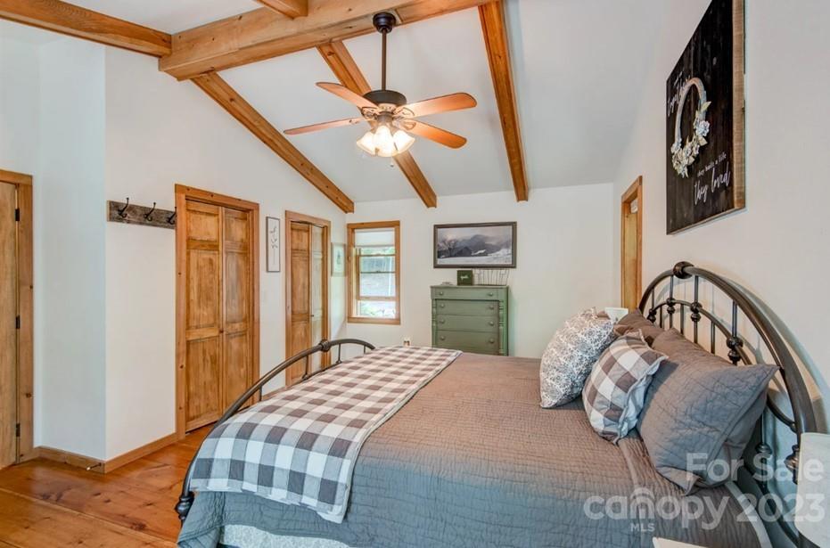 Big Tree - Residential