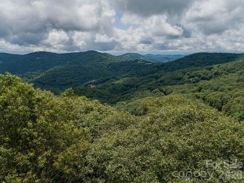 366 Birch Springs Lane 366 Mars Hill NC 28754