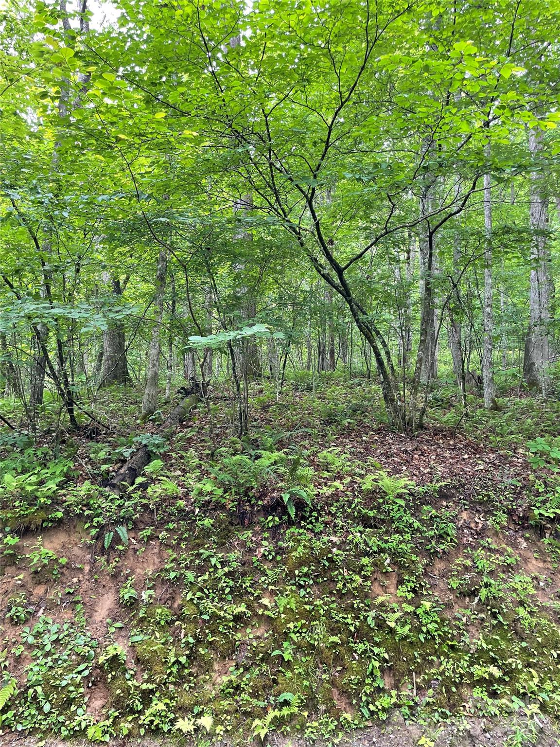 25 Rainbow Trout Drive 25