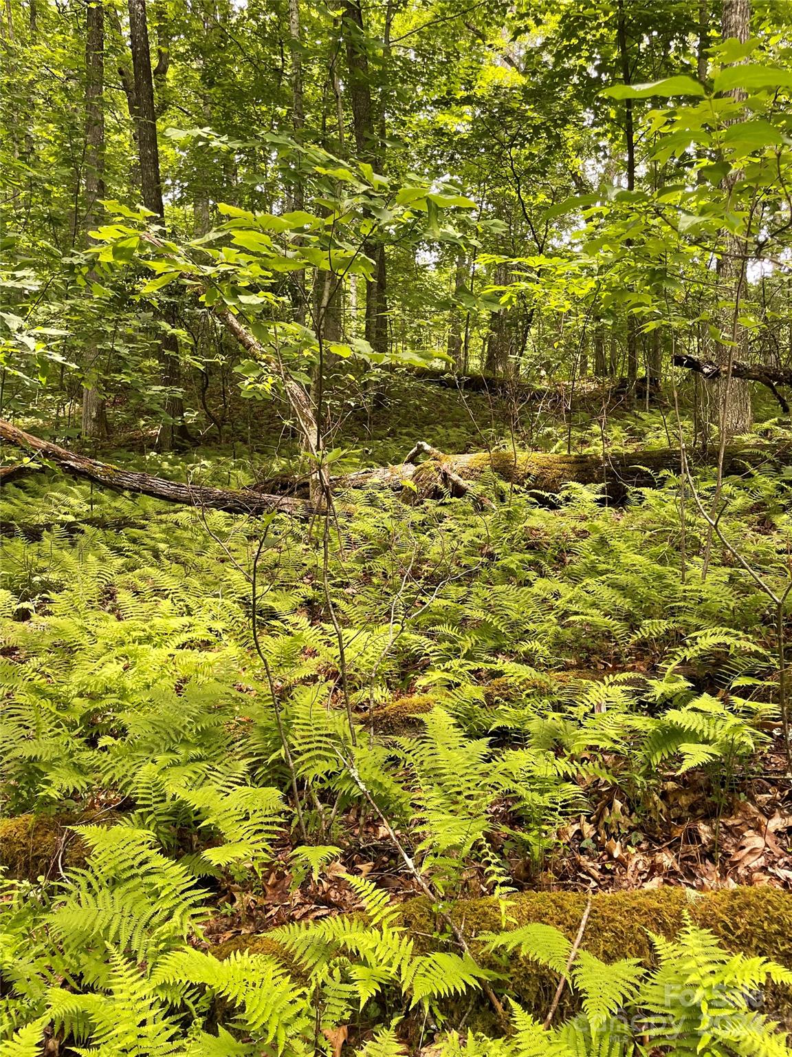 25 Rainbow Trout Drive 25